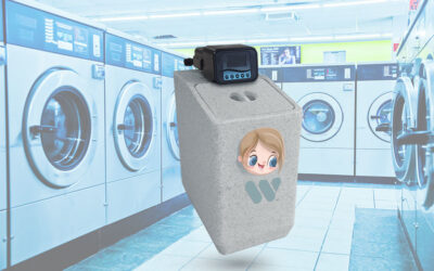 Lilly Saves the Launderette