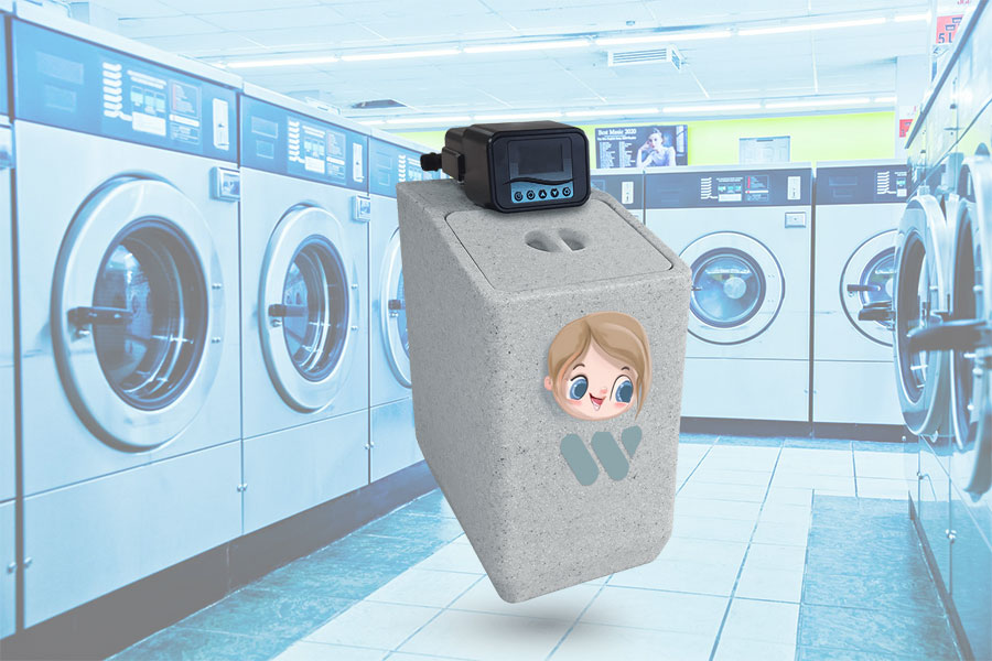 Lilly Saves the Launderette